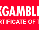 Casino Digital Pro partner logo